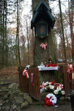 Miniatura zdjęcia: W lesistym zaułku godnie uczciliśmy ten dzień – Narodowego Święta Niepodległości