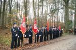 Miniatura zdjęcia: W lesistym zaułku godnie uczciliśmy ten dzień – Narodowego Święta Niepodległośc
