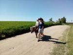 Miniatura zdjęcia: Zakończyliśmy wiosenny cykl pikników rodzinnych