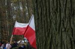 Miniatura zdjęcia: Świętowaliśmy 99. rocznicę odzyskania niepodległości